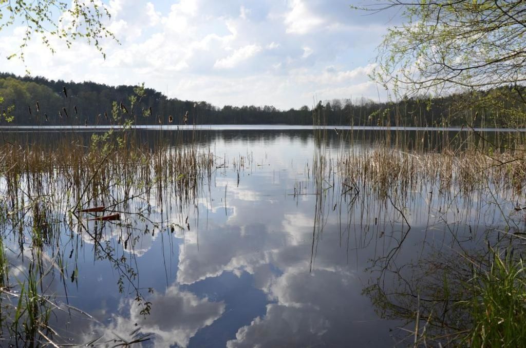 Отель Rezydencja nad jeziorem Pestkownica Pestkownica-16