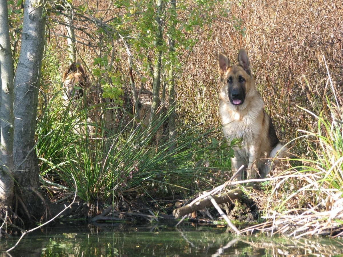 Отель Rezydencja nad jeziorem Pestkownica Pestkownica-25