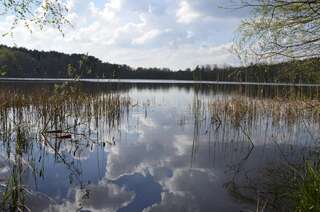 Отель Rezydencja nad jeziorem Pestkownica Pestkownica-7